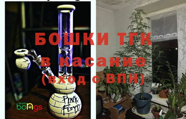 крисы Медногорск