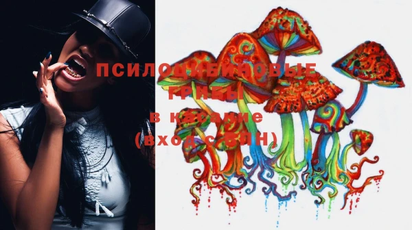 прущий лед Мегион