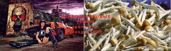 прущий лед Мегион