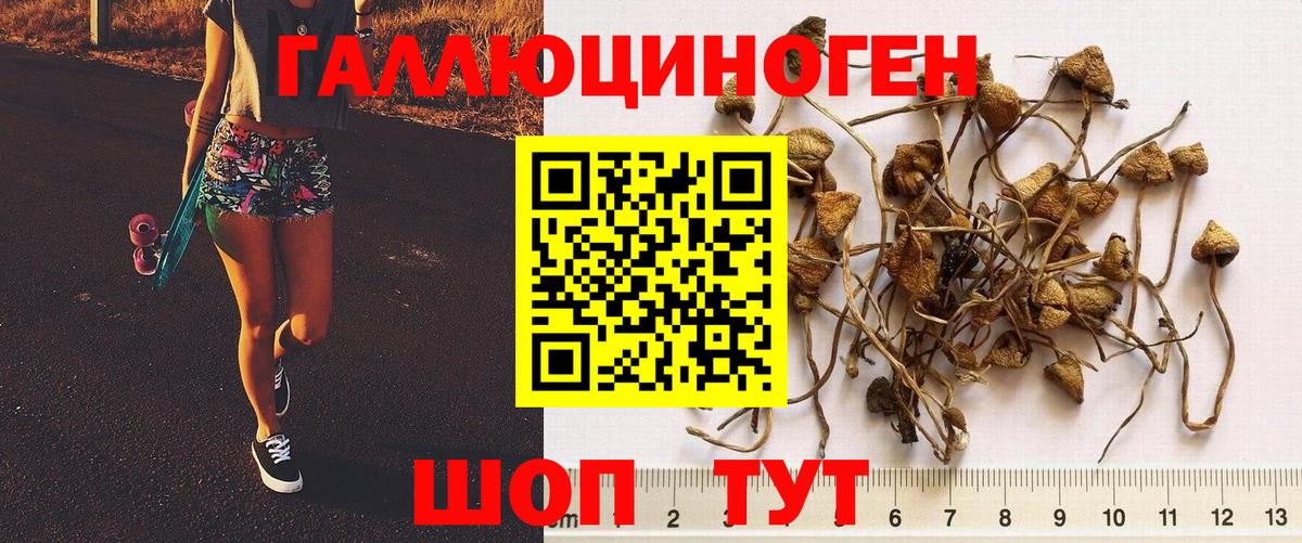 Псилоцибиновые грибы мухоморы  Галлюциногенные грибы Psilocybine cubensis  Вход с VPN  Волгоград 